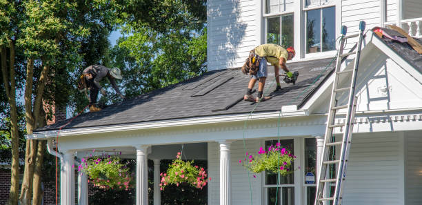 Best Roof Gutter Cleaning  in Romancoke, MD
